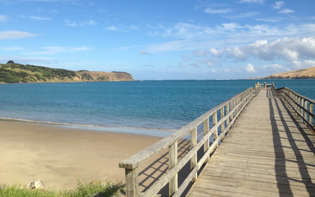 Got the post-holiday blues?